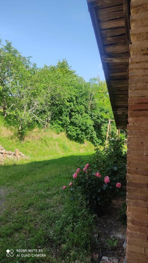 Ferme Du Bois Du Pouget Villa La Salvetat-Belmontet Buitenkant foto