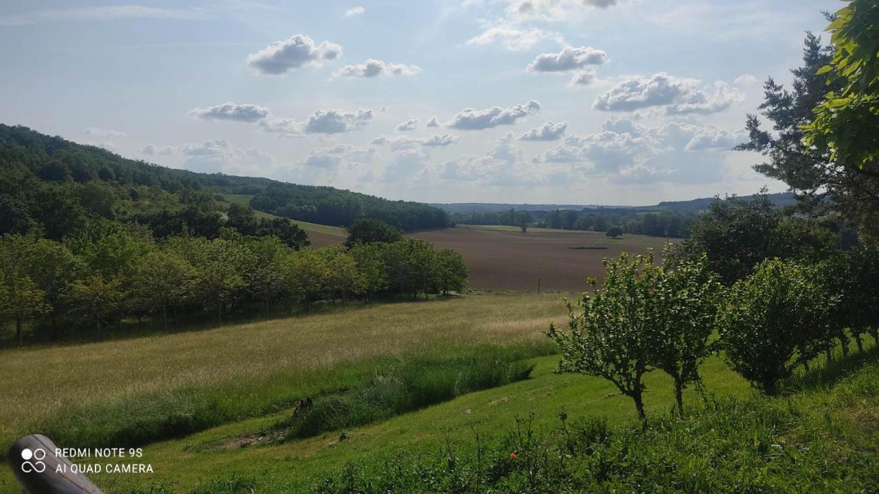 Ferme Du Bois Du Pouget Villa La Salvetat-Belmontet Buitenkant foto