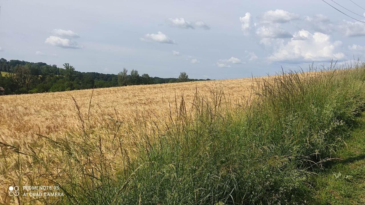 Ferme Du Bois Du Pouget Villa La Salvetat-Belmontet Buitenkant foto