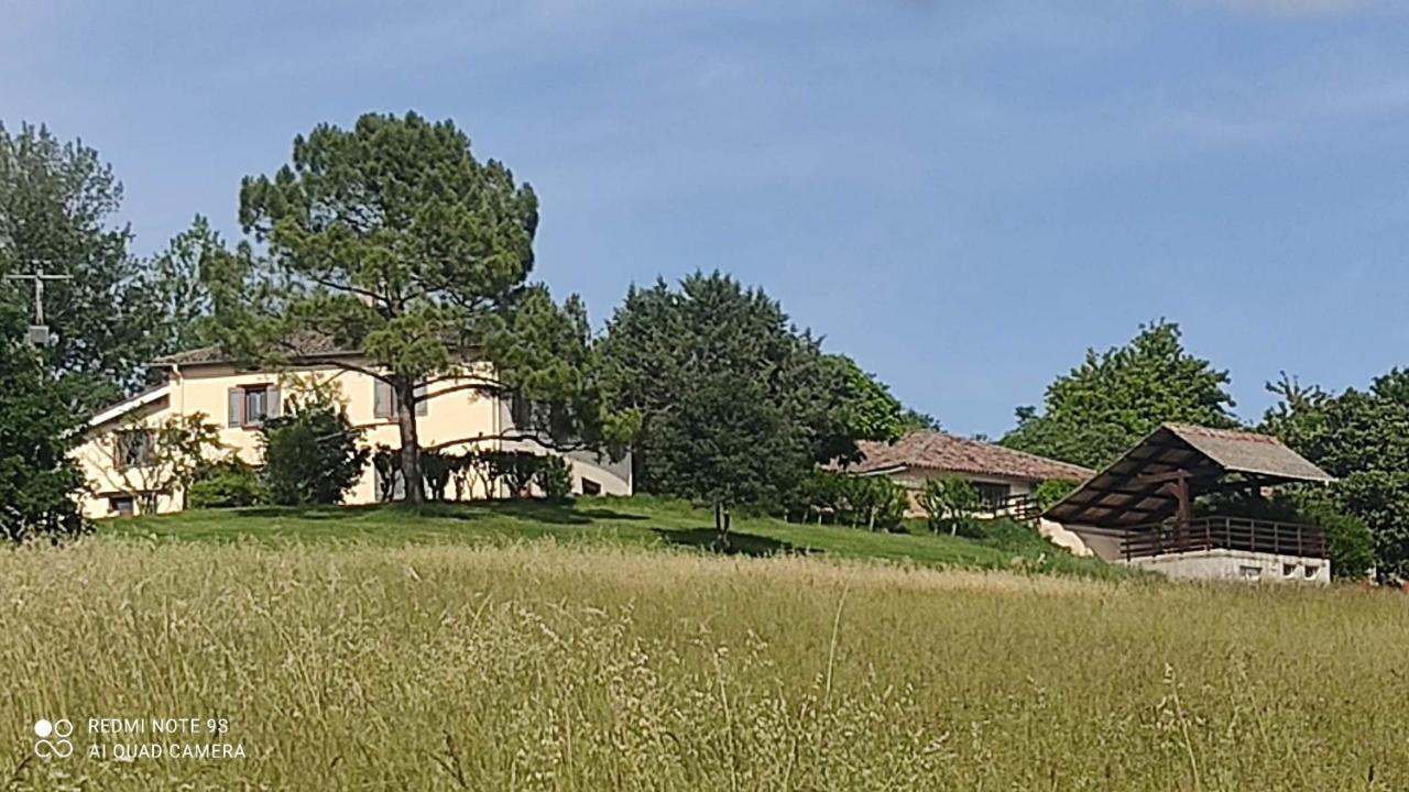 Ferme Du Bois Du Pouget Villa La Salvetat-Belmontet Buitenkant foto